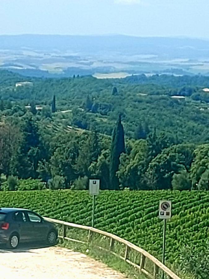 House With A View In Tuscany San Gusme Bagian luar foto