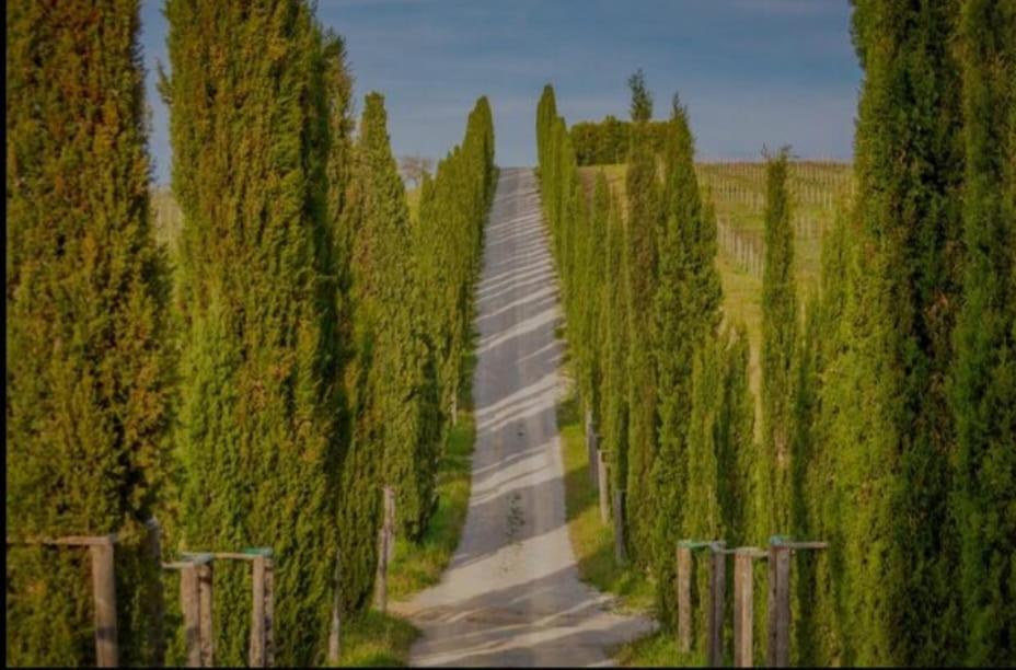 House With A View In Tuscany San Gusme Bagian luar foto
