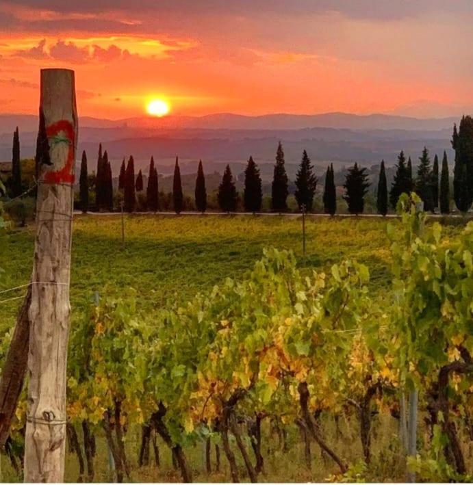 House With A View In Tuscany San Gusme Bagian luar foto