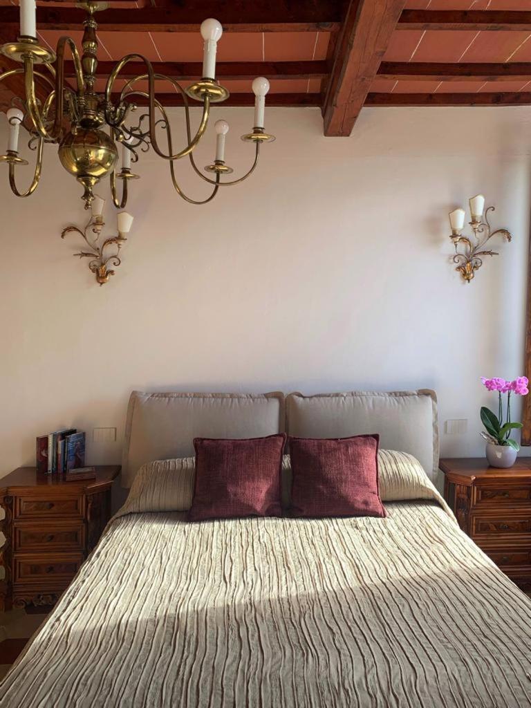 House With A View In Tuscany San Gusme Bagian luar foto