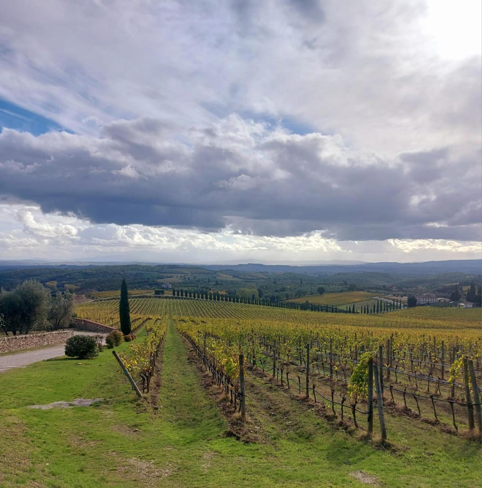 House With A View In Tuscany San Gusme Bagian luar foto