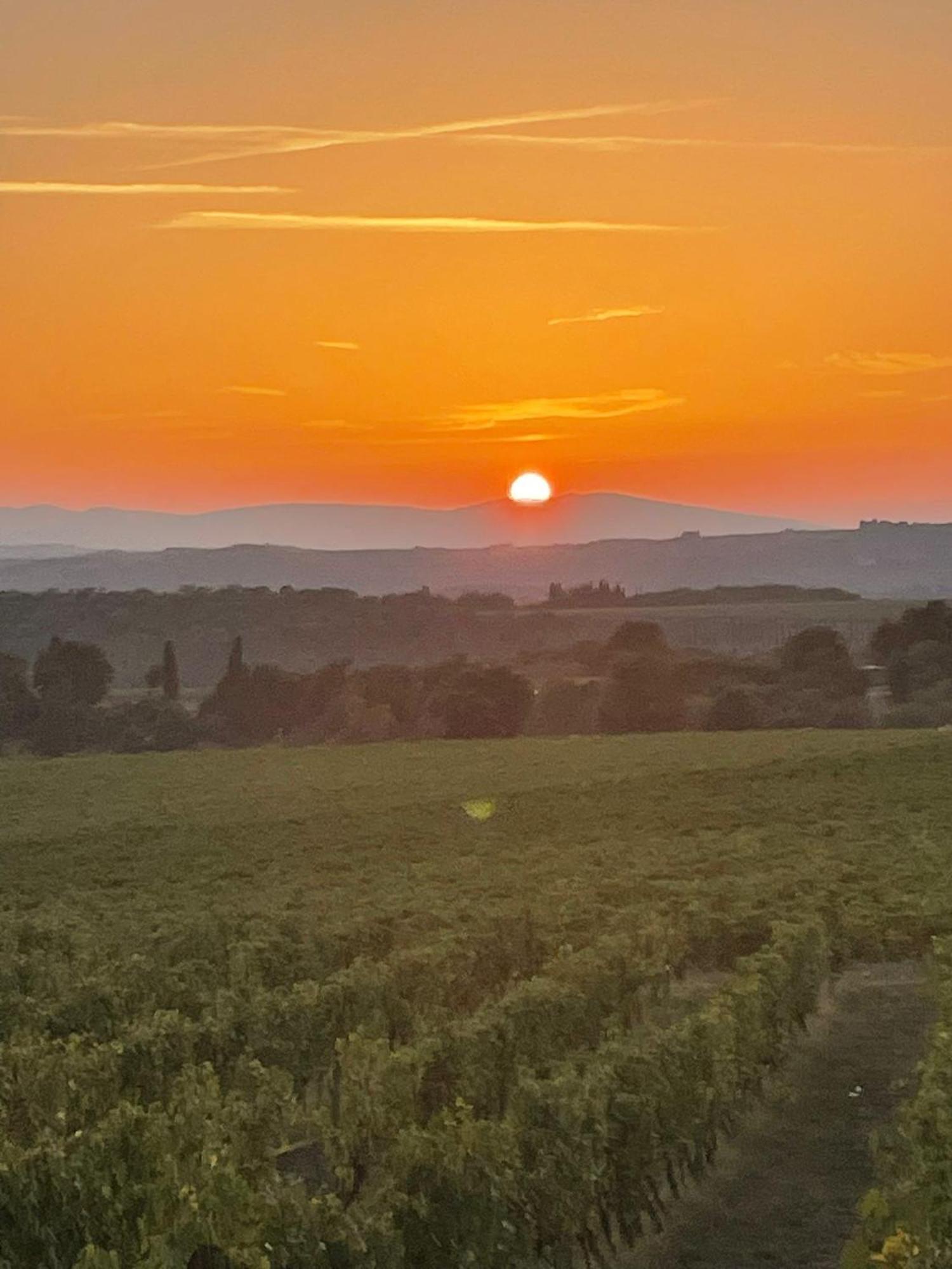 House With A View In Tuscany San Gusme Bagian luar foto