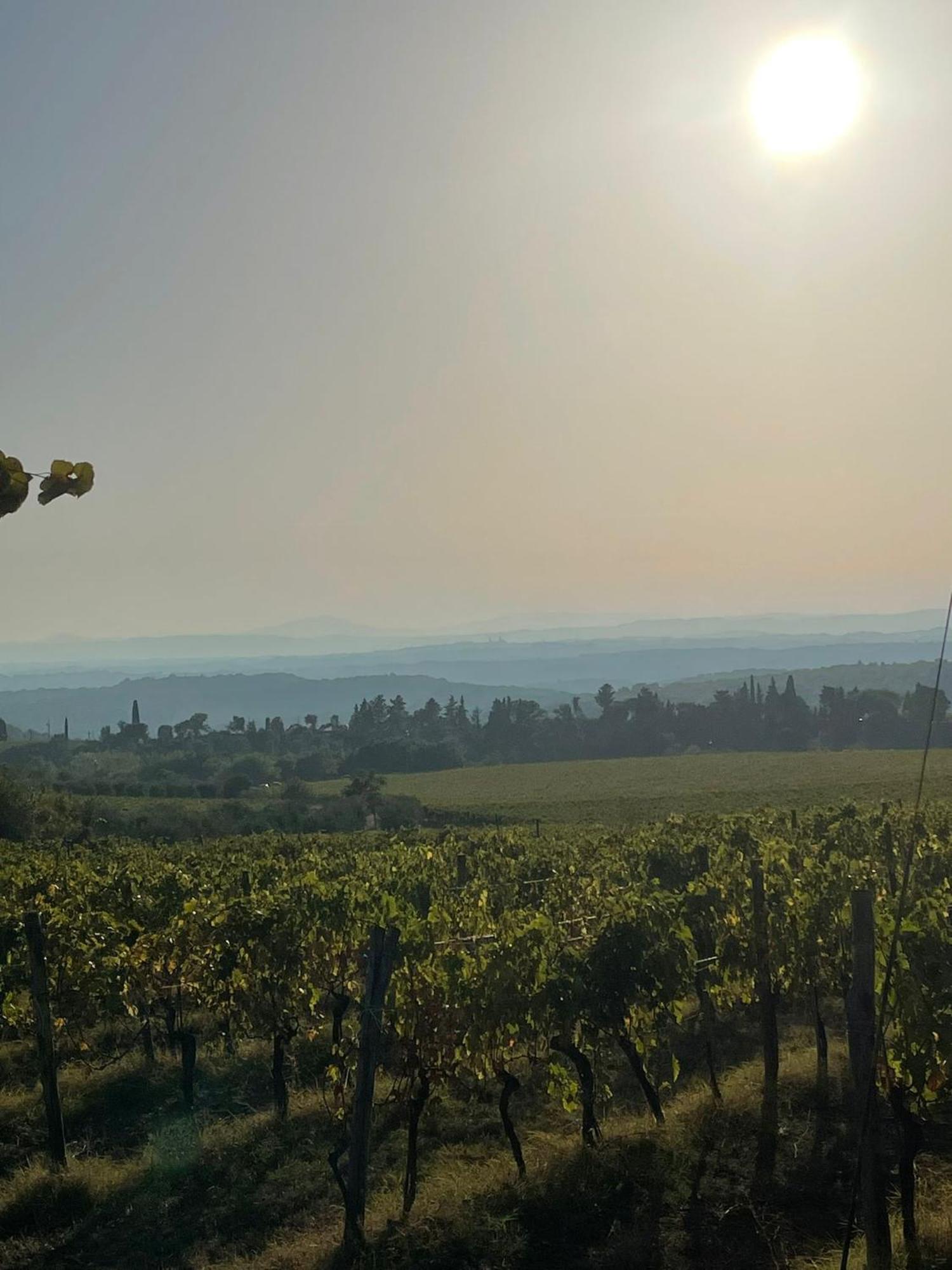 House With A View In Tuscany San Gusme Bagian luar foto