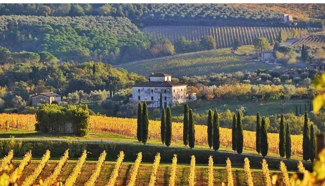 House With A View In Tuscany San Gusme Bagian luar foto